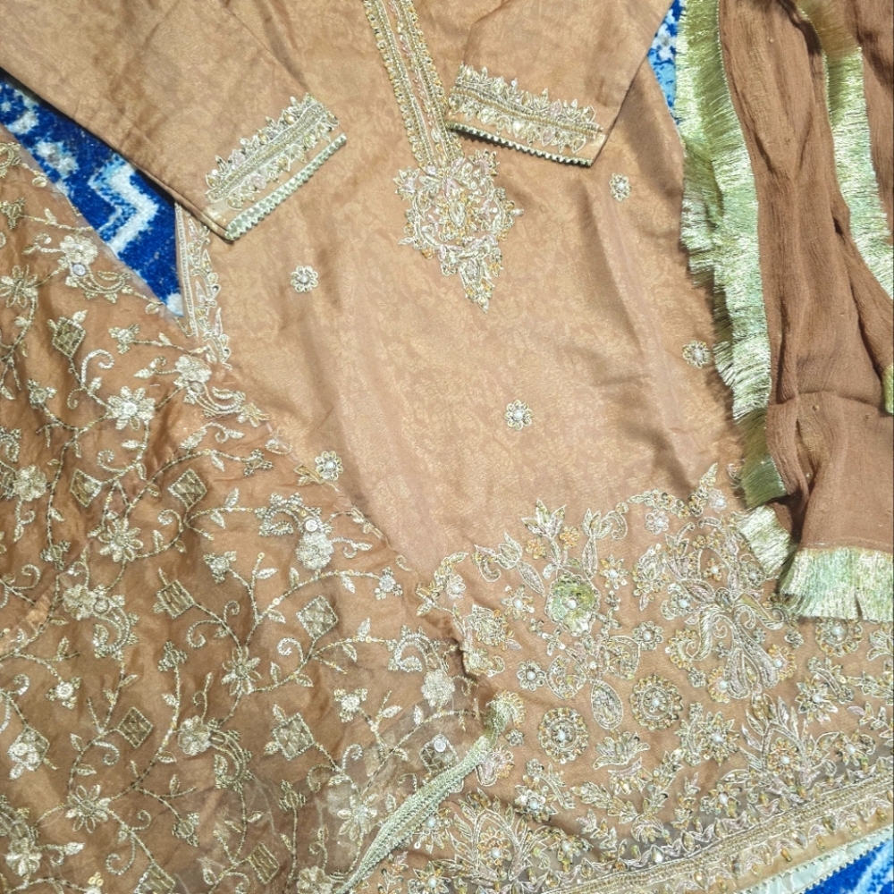 Pakistani 3pc party wear